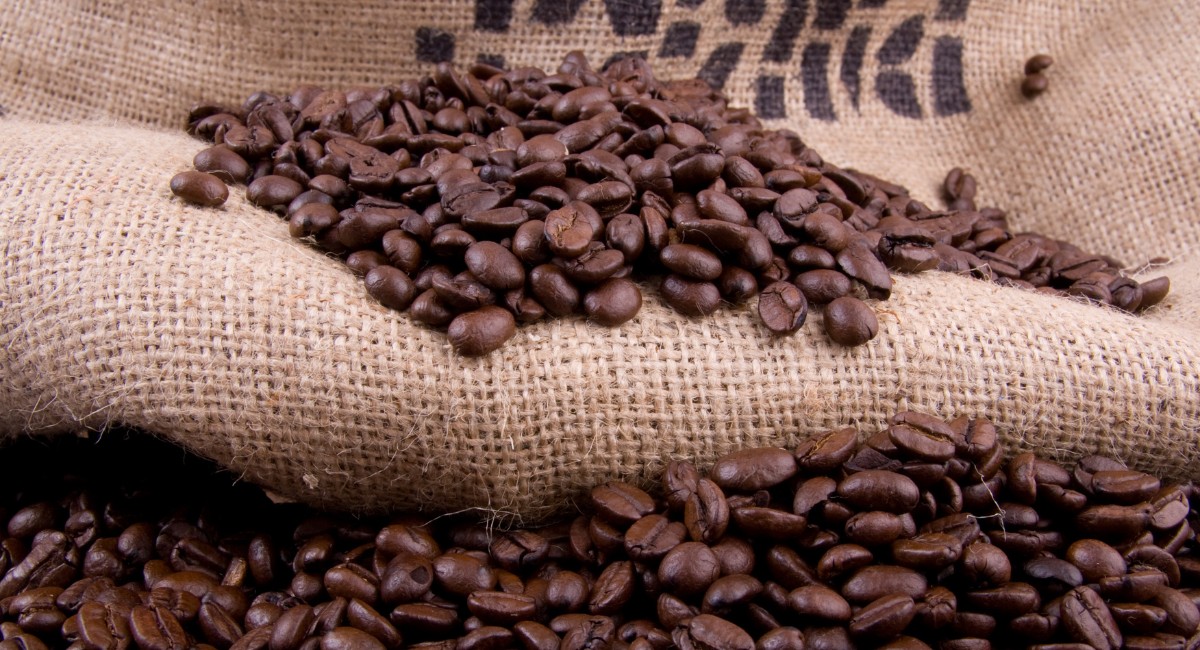 Com tarifaço, exportações de café do Brasil para os EUA despencam