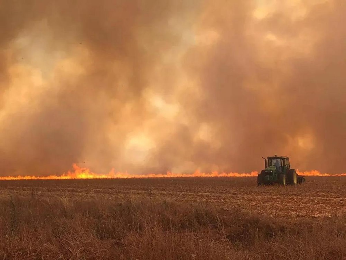 Governo vai obrigar produtor a apagar incêndio em ano de COP, mais orçamento e seca menor